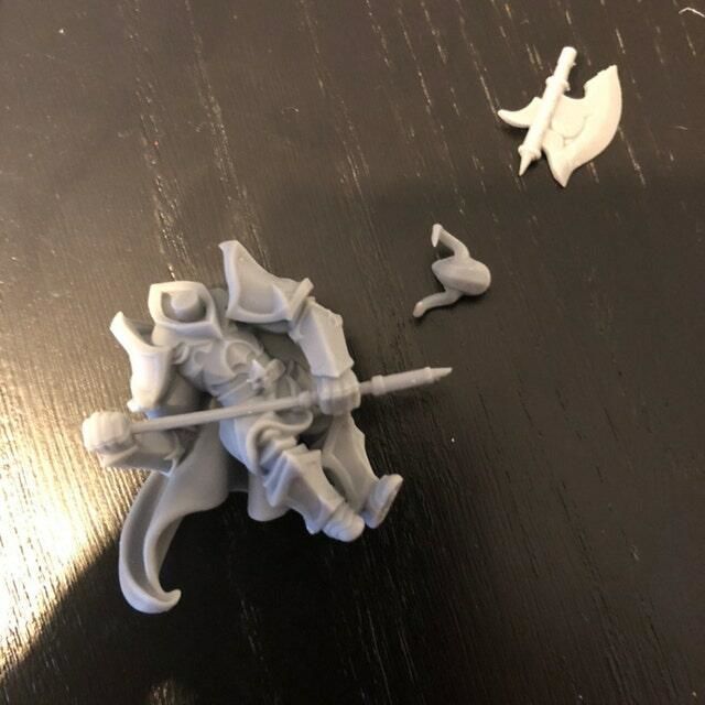 Customer photo review of Dark Knight A Chaos Warrior