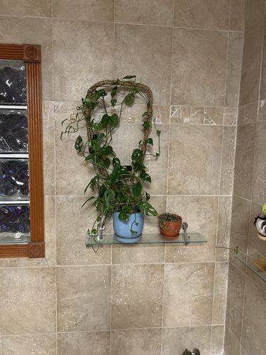 Customer photo of The Original Bendable Coir Pole™ - Best Seller (Tape Included) from Sara H.