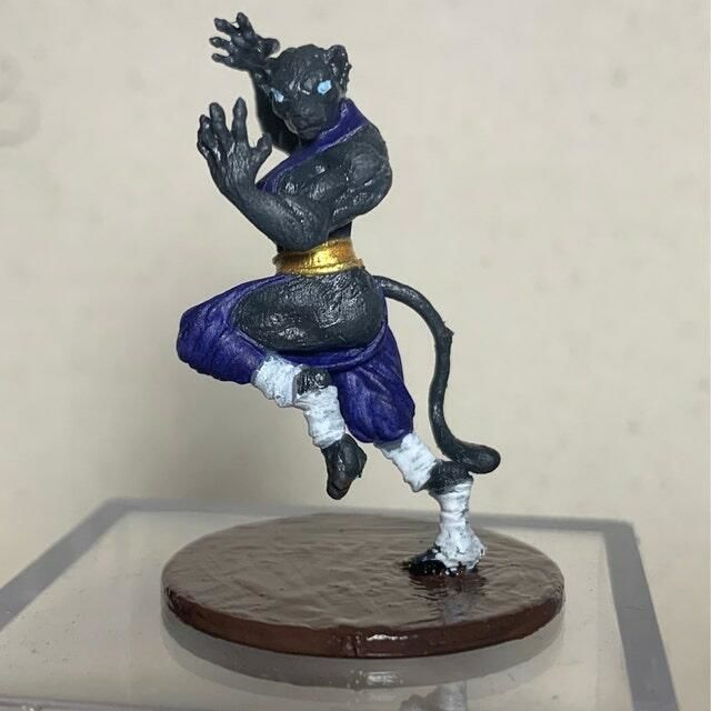 Customer photo review of Tabaxi Monk, Female