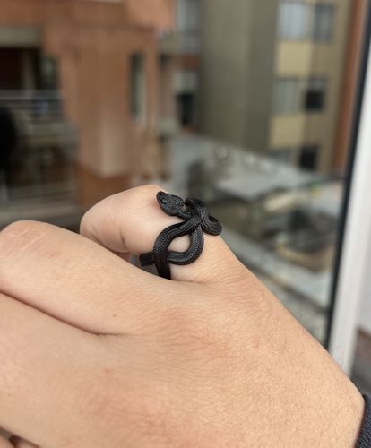 Customer photo review of Snake Ring