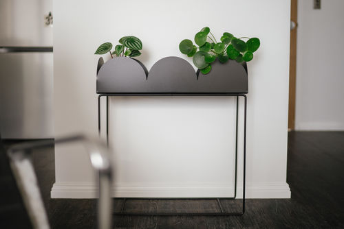 Customer photo review of FOLD Arch Planter Box