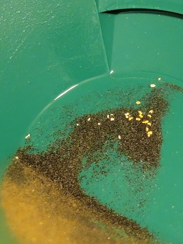 Customer photo review of Elite 'NUGGET CHASE' - Gold Panning Paydirt Concentrate