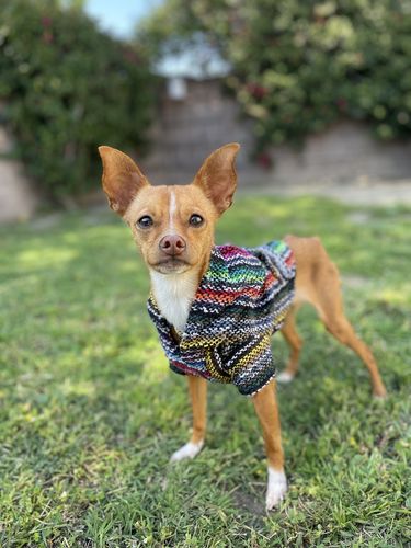 Customer photo review of Playa Poncho - Surprise Color