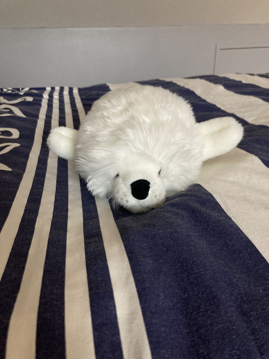 Customer photo review of Ma peluche Phoque Arsène