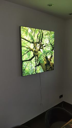 Customer photo review of Leuchtbild | Baumkrone einer Buche | Quadrat