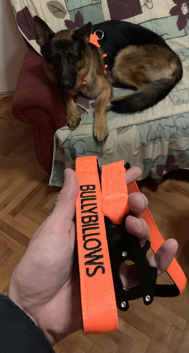 Customer photo review of 1.4m Swivel Combat Lead | Neoprene Lined, Secure Rated Clip with Soft Handle - Orange