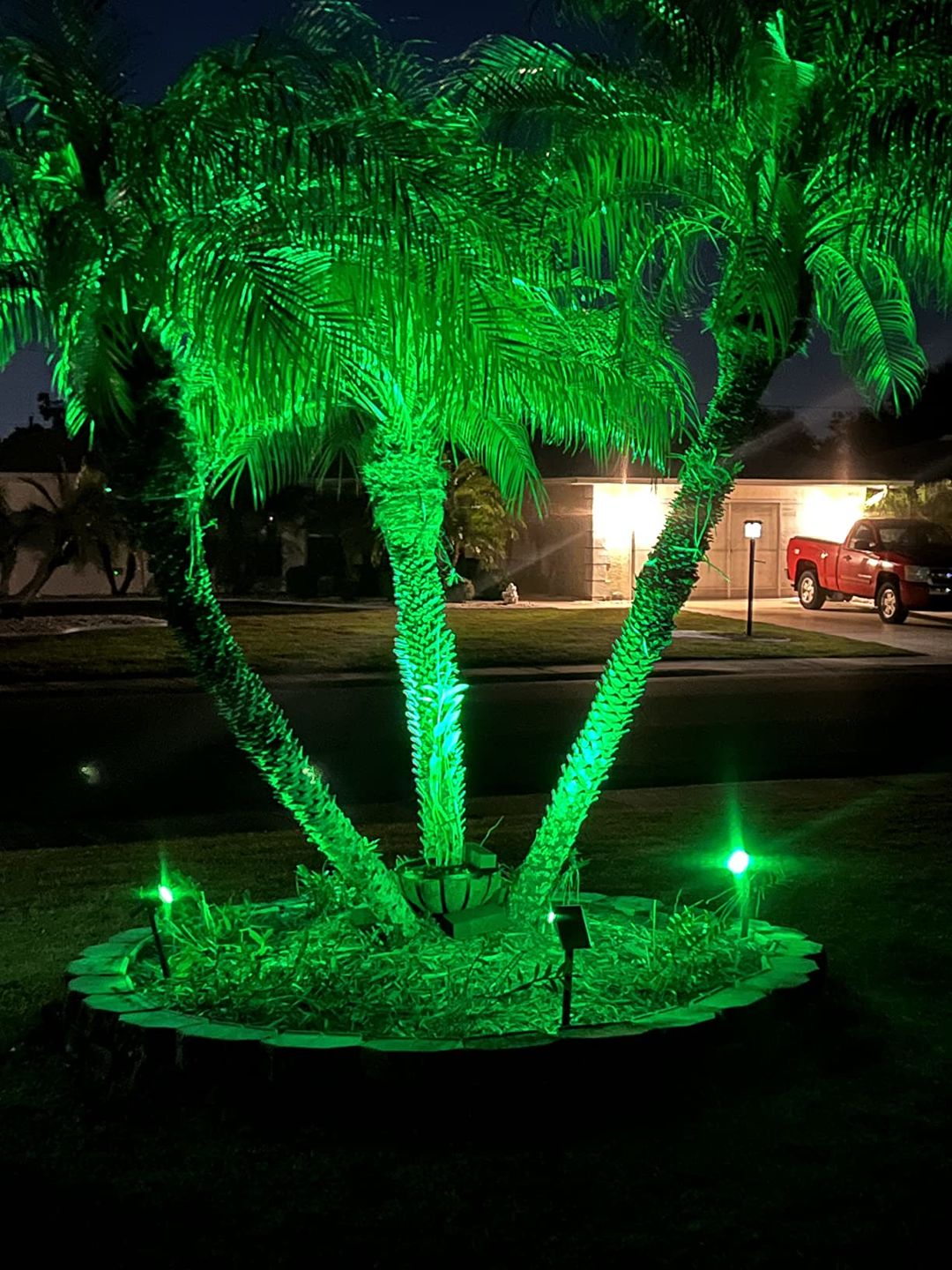 Customer photo review of TSUN Solar Landscape Spotlights