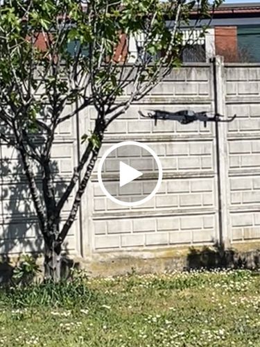 Customer video review of Kit Summer Fleuurs Drone + Sport Cam