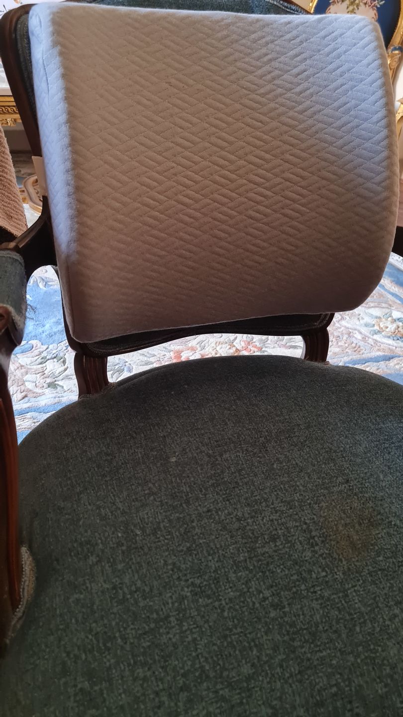 Customer photo review of Back Support Pillow - Rolo