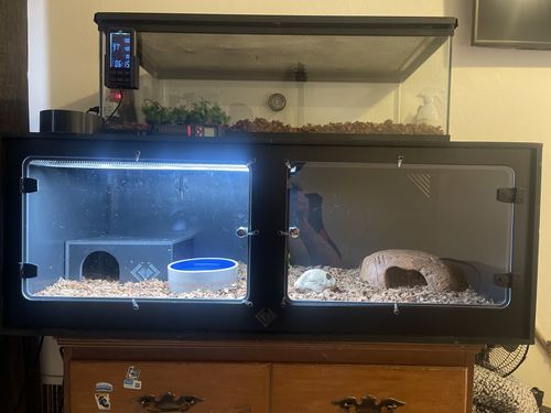Customer photo review of XT4 BIO18 (48Lx24Dx18H) - STACKABLE