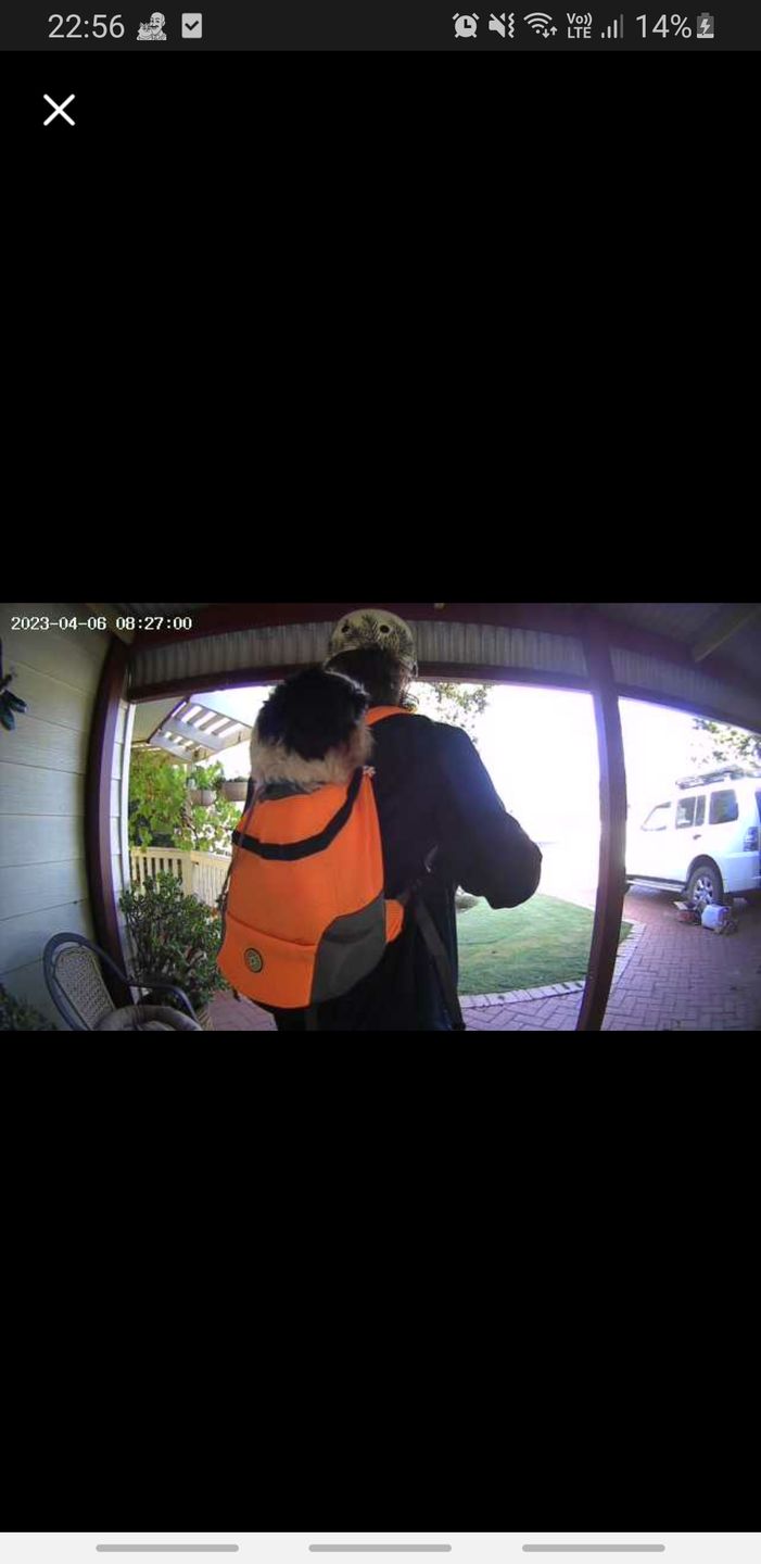 Customer photo review of Dog Backpack