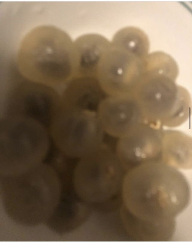 Customer photo review of Longan Box