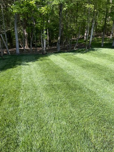 Customer photo review of OII-YS Natural Adjuvant Refill