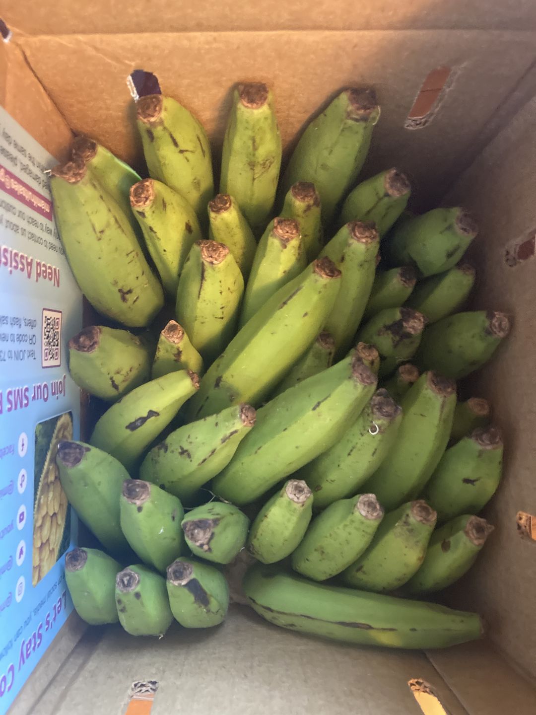 Customer photo review of Gros Michel Banana Box