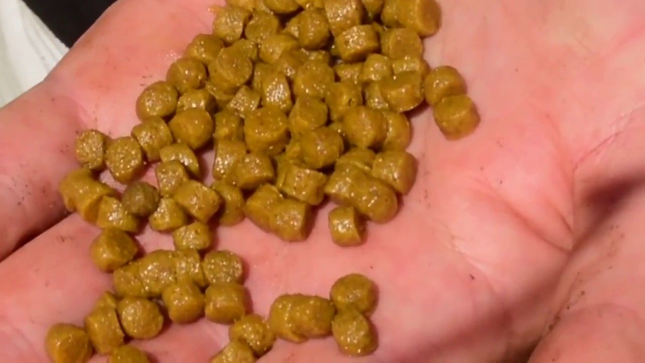 Customer photo review of Bewaarmiddel 1 Liter