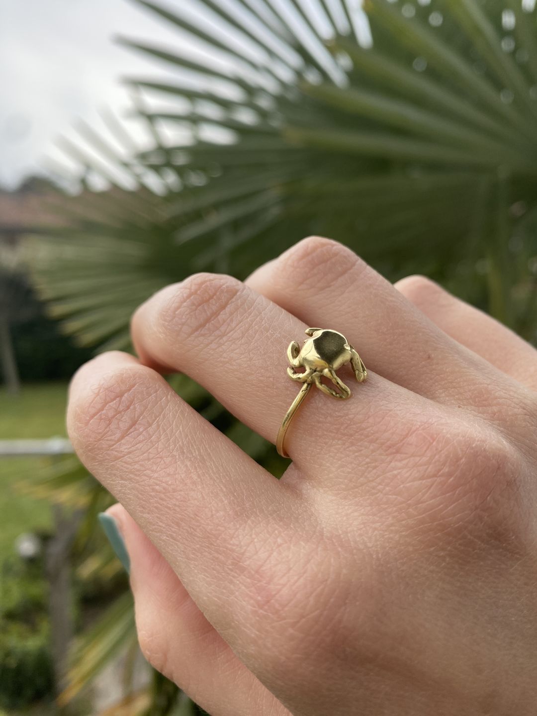 Customer photo review of Crab Ring