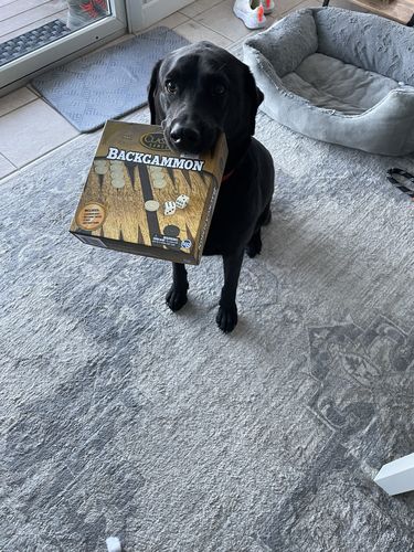 Customer photo review of Pink Silicone