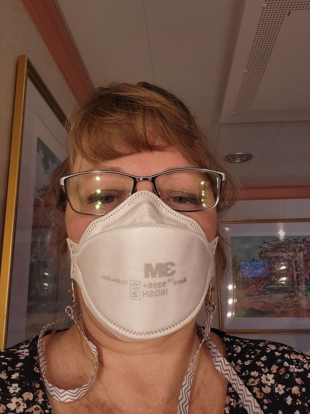 Customer photo review of 3M N95 Aura™ Respirator and Surgical Mask 1870+ Made in Canada (NIOSH)