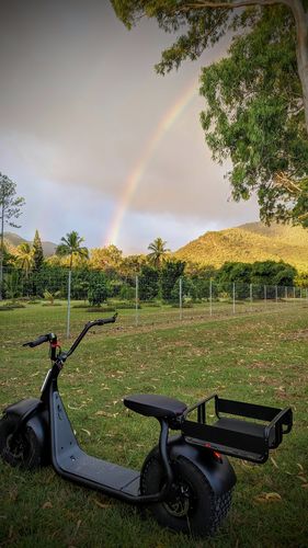 Customer photo review of Sumo KAA Speed V3 Rear Shopping Basket Rack