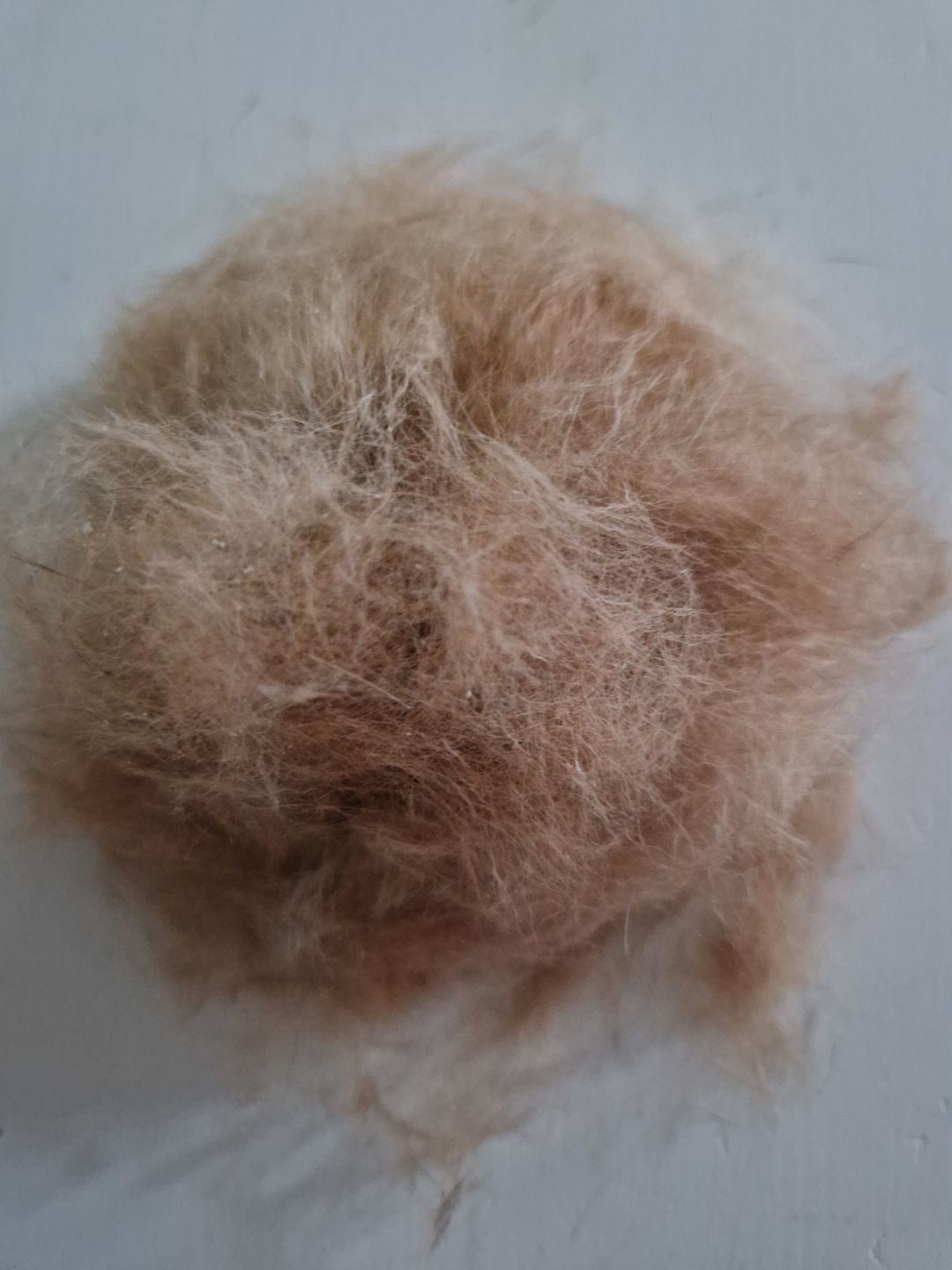 Customer photo review of BullyBillows Complete Animal Deshedding Kit - Pink