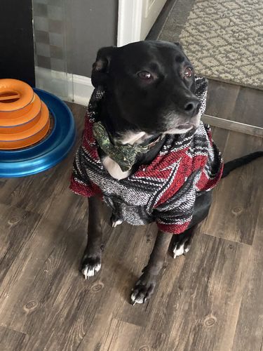 Customer photo review of Playa Poncho - Surprise Color