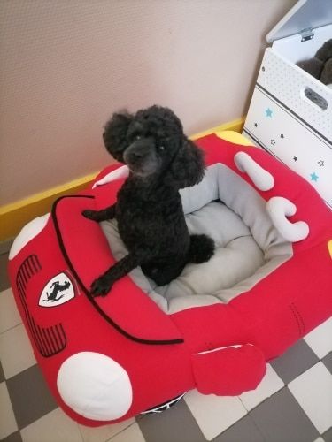 Customer photo review of Furcedes Sports Car Bed