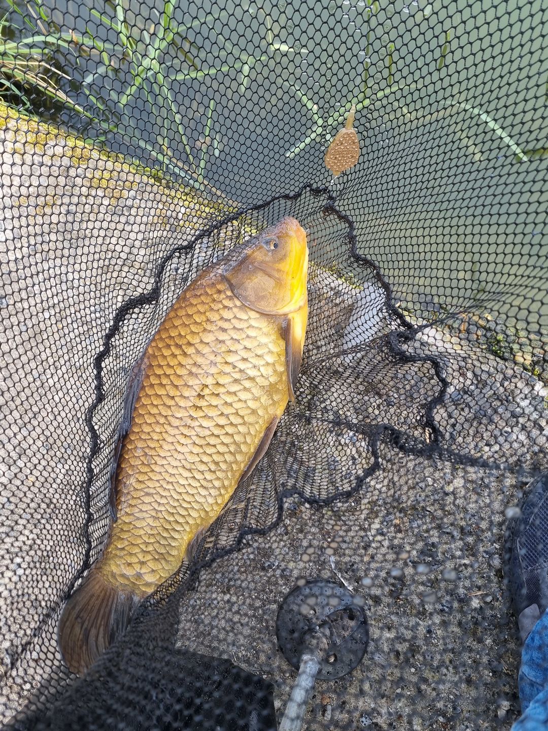 Customer photo review of SINKING CRUMBS 500g
