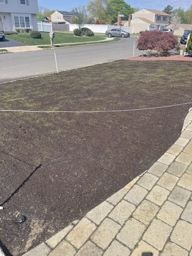 Customer photo review of GCI Turf Spreader Elite Grass Seed