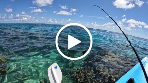 Customer video review of **RE-STOCKING MARCH 30, 2023** 8Ft No Excuses Travel Rod with Tube Medium Action 1/2oz to 2oz