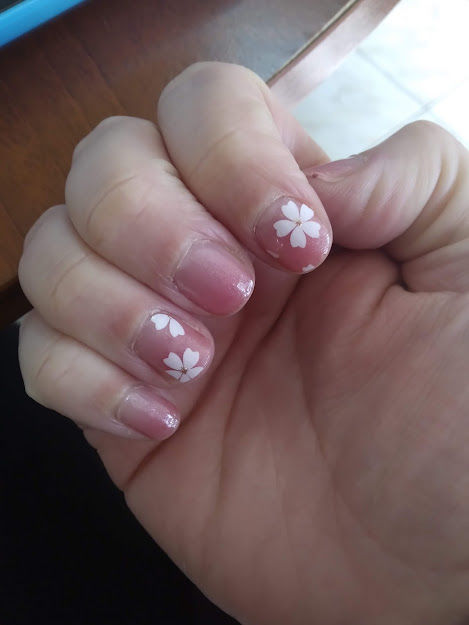 Customer photo review of Cherry Blossom