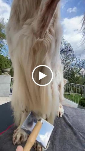 Customer video review of I'm So Silky Shampoo