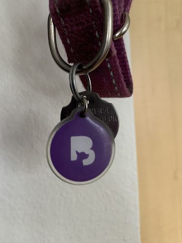 Customer photo review of Purple