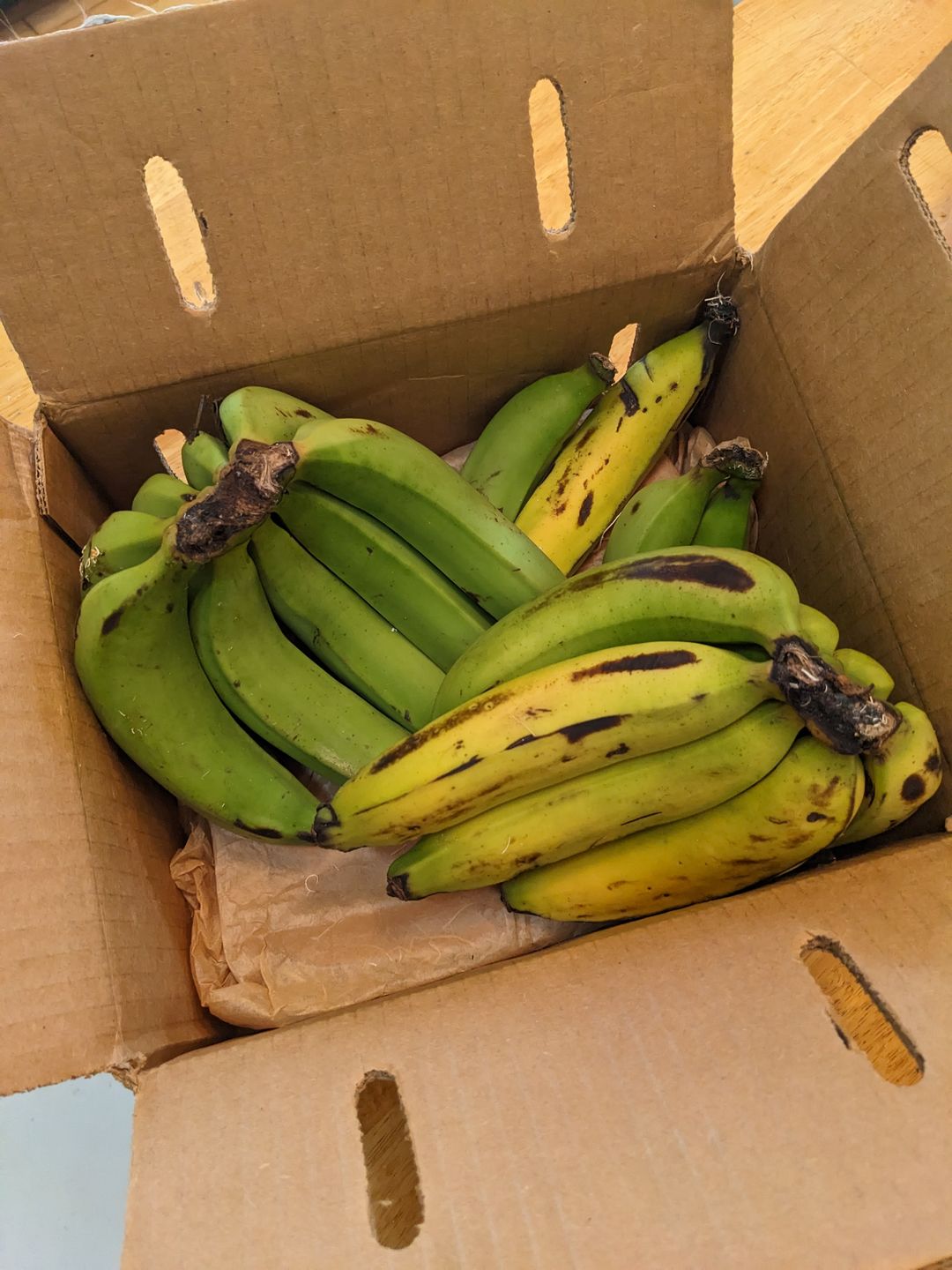 Customer photo review of Gros Michel Banana Box