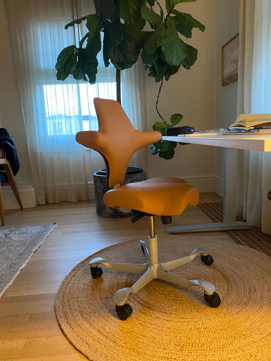 Customer photo review of Capisco Saddle