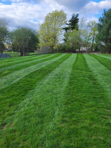 Customer photo review of Protene Performance Summer Fertilizer