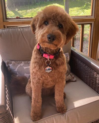 Customer photo review of Explorer Silicone