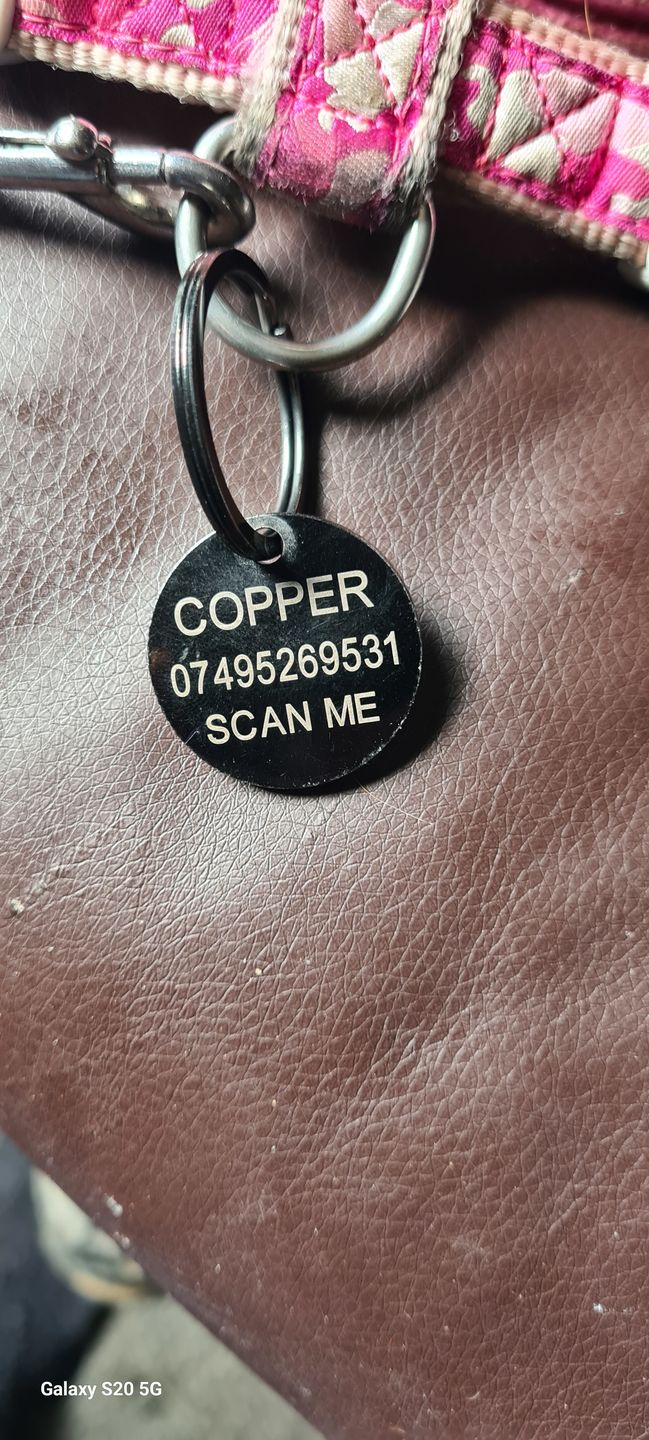 Customer photo review of ID Dog Tag - Black (With Gift Box)