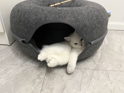 Customer photo review of Tunnelspielbett