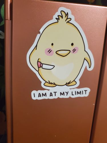 Customer photo review of I Am At My Limit sticker