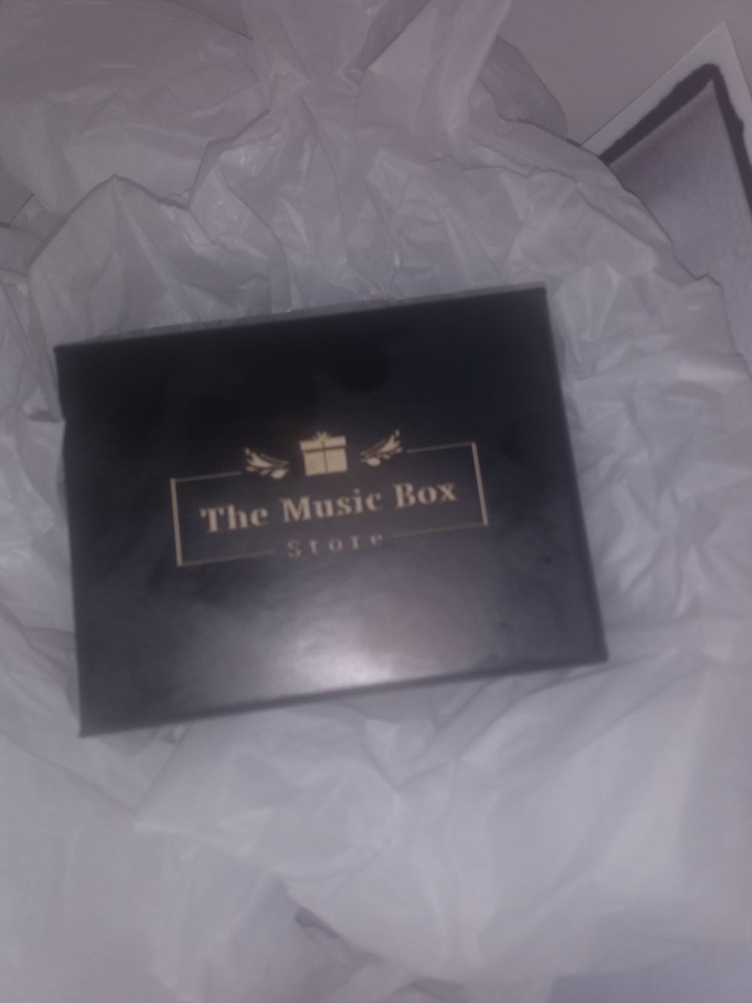 Customer photo review of Custom Digital Music Box - Any song, tune, or voice