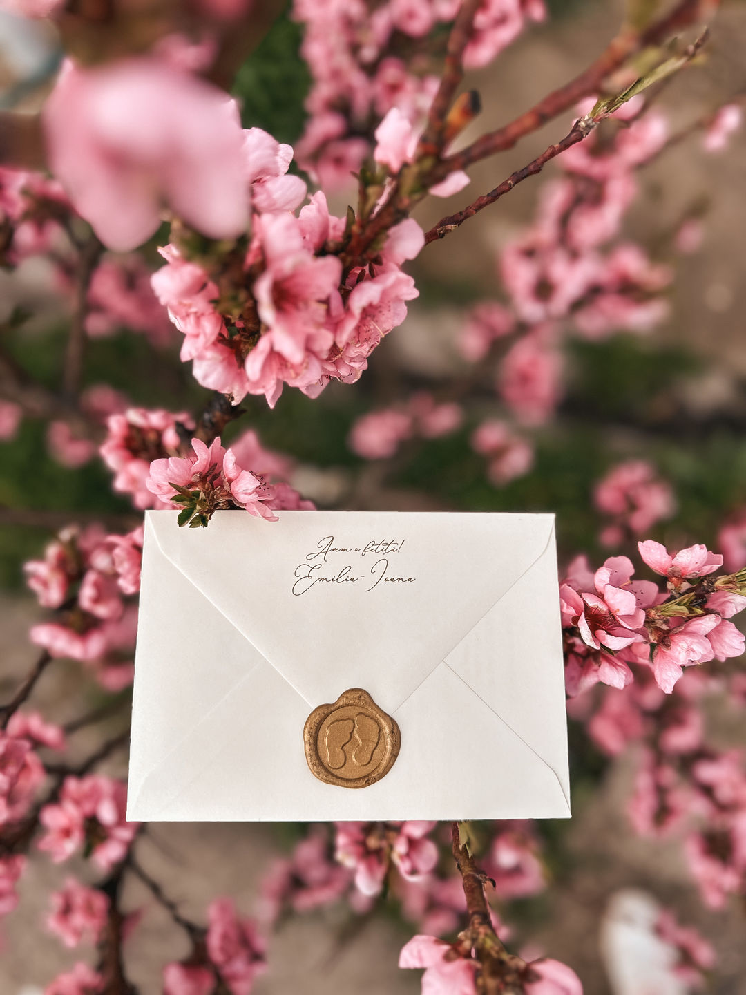 Customer photo review of Classical apes, invitație botez,fetiță/băiețel, handmade