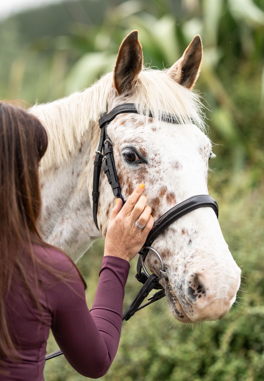 Customer photo review of Equibind