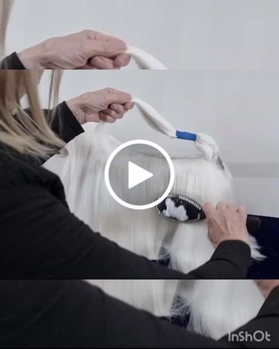 Customer video review of I'm So Silky Rinse-off Conditioner