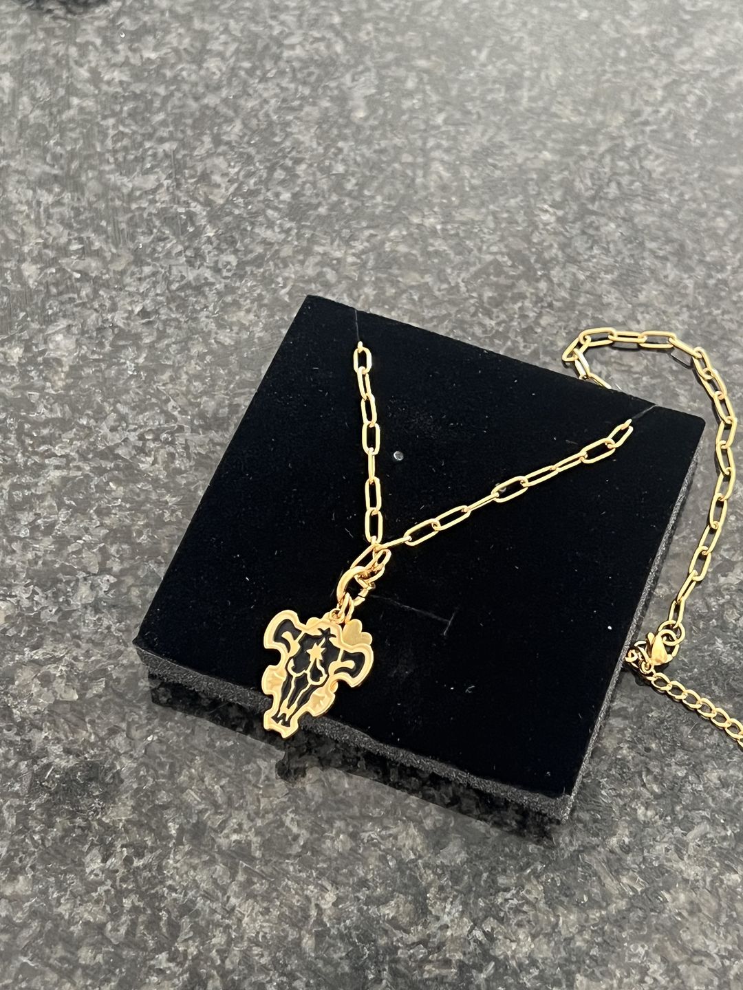 Customer photo review of Black Bulls Charm