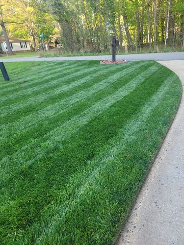 Customer photo review of 16-21-2 GreenePOP