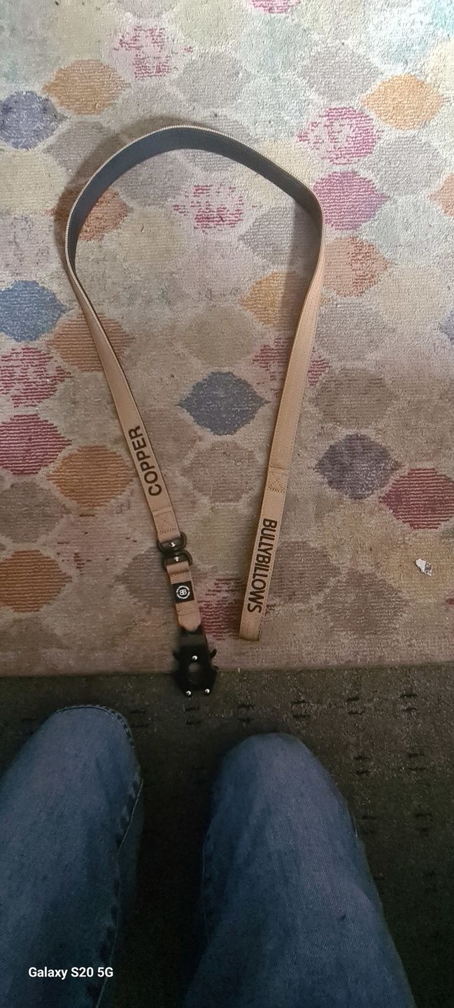 Customer photo review of 1.4m Swivel Combat Lead | Neoprene Lined, Secure Rated Clip with Soft Handle - Military Tan