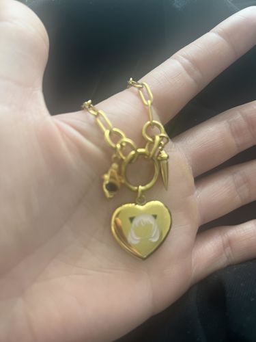 Customer photo review of Spy Necklace