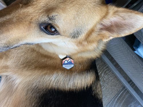 Customer photo review of Explorer Silicone