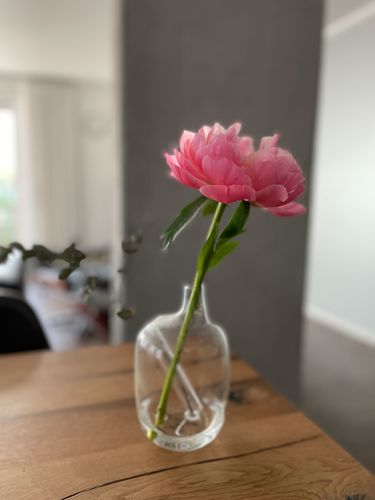 Customer photo review of Hanami perfumer