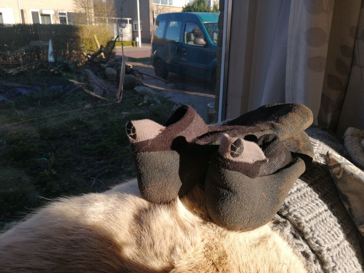 Customer photo review of Baresocks 2.0